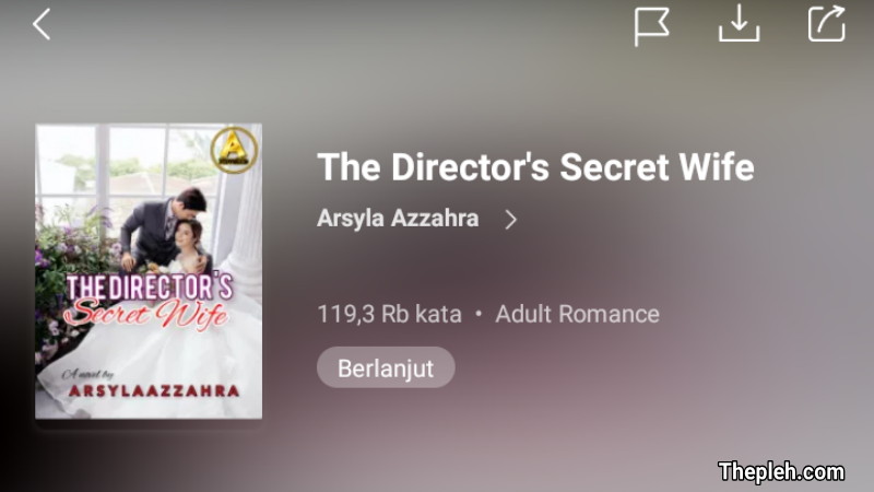Novel The Director's Secret Wife
