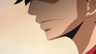 ワンピースアニメ WCI編 785話 ルフィ Monkey D. Luffy | ONE PIECE Episode 785