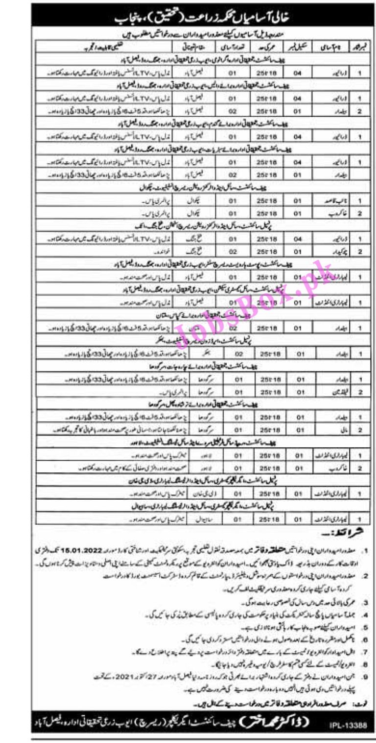 Agriculture Department Punjab Jobs 2022