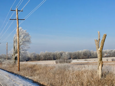 late autumn and early winter