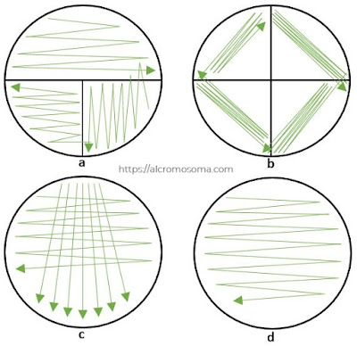 streak methods