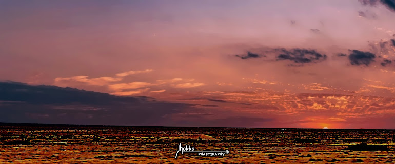 Arizona Desert Sunset