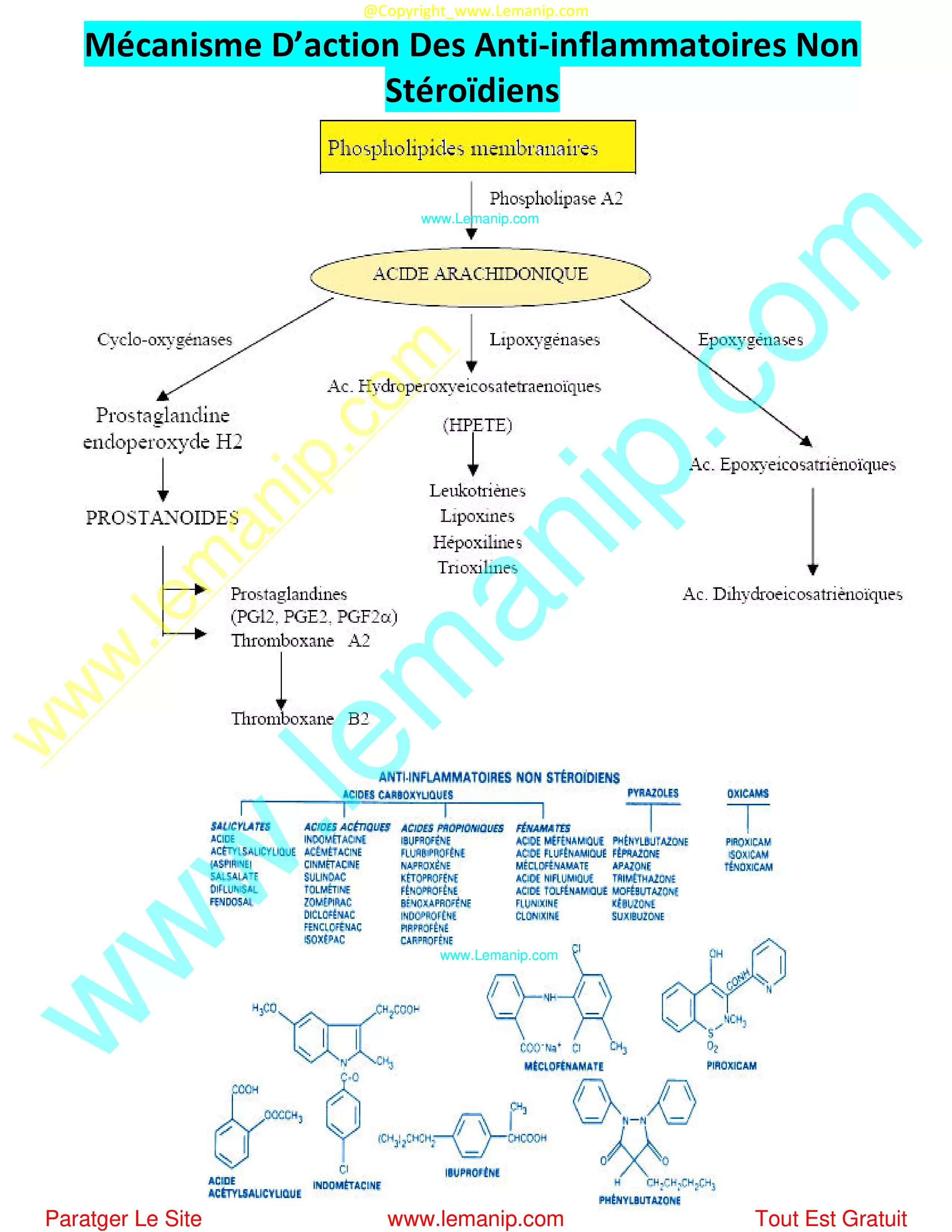 Anti Inflamatoires,anti inflamatoire non steroidien,anti inflamatoir non steroidien,medicament anti inflamatoire,medicament antiinflamatoire,pharmaprix 24h,pharmaprix rosemont,pharmaprix st laurent,pharmaprix st jerome,pharmaprix verdun,pharmaprix des sources,pharmacie fontaine,ordonnance en ligne,pharmacie 24,sante pharma,pharmacie ligné,moniteur pharmacie