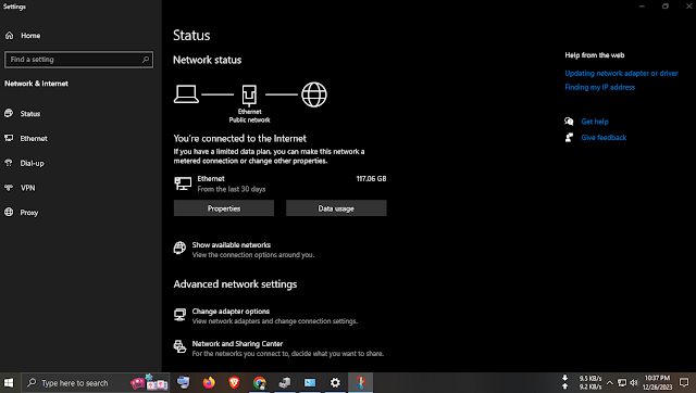 Windows 10 Network & Internet Status