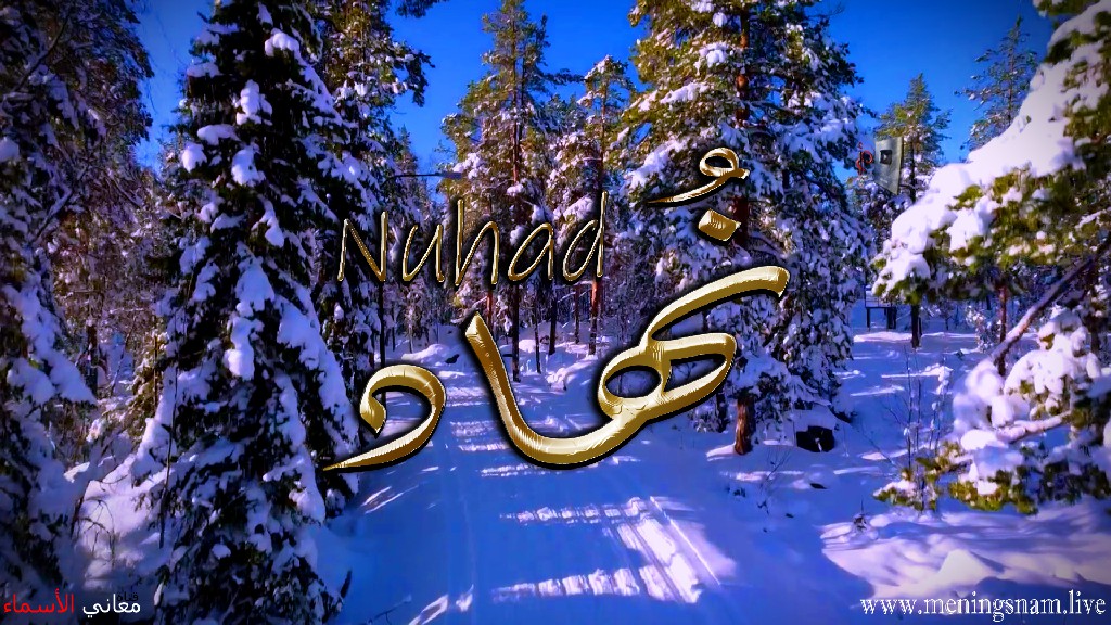 معنى اسم, نهاد, وصفات, حامل, هذا الاسم, Nuhad,