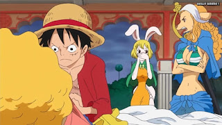 ワンピースアニメ ゾウ編 766話 ワンダ キャロット | ONE PIECE Episode 766