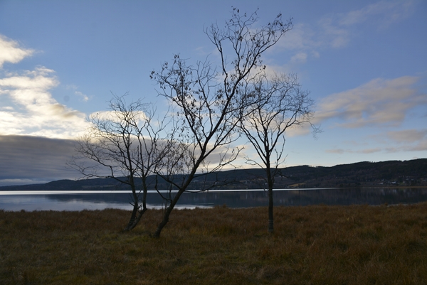 Røshomstranda Karlsrudtangen