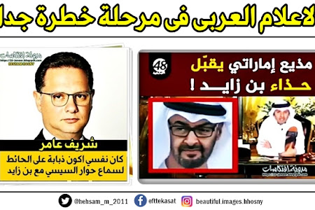 الاعلام العربى فى مرحلة خطرة جدا