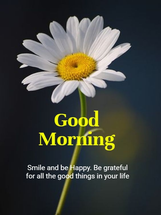 image good morning photo, good morning photo and video download, good morning photo radhe krishna, good morning photo janu, good morning photo ji