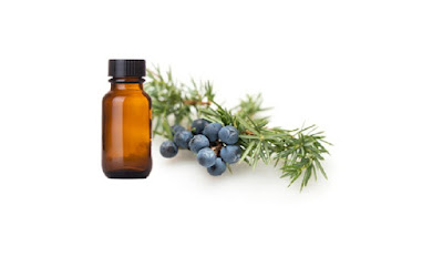 Juniper Berry Oil