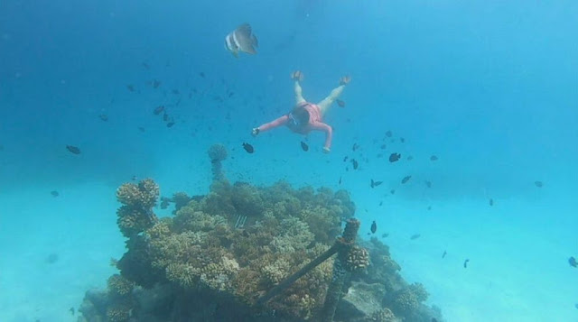 Ginger Zee explores coral reefs in the Maldives