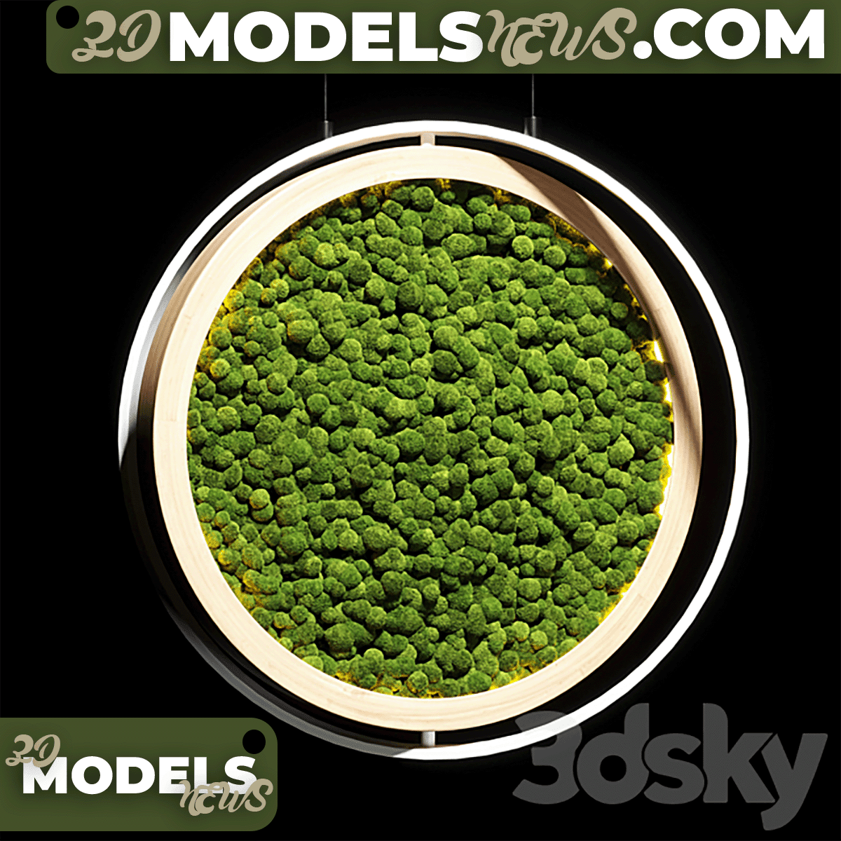 Hanging garden and hanging moss in wooden frame model 218 2