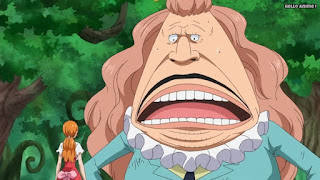 ワンピースアニメ WCI編 806話 パウンド Pound | ONE PIECE Episode 806