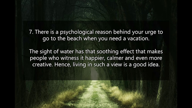 7. There is a psychological reason behind your urge to go to the beach when you need a vacation.