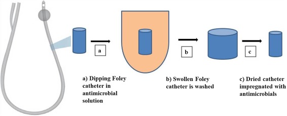 Antimicrobial Catheter