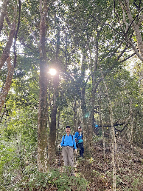 我音山下山途中