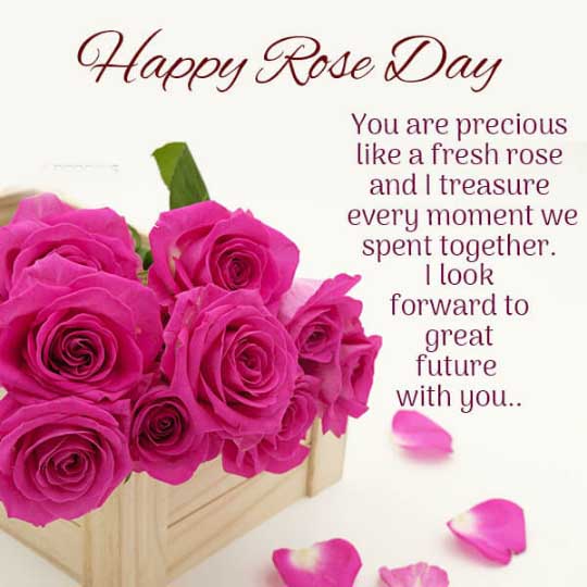 Happy Rose Day Whatsapp Dp images || Rose Day Status images