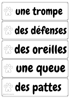 les parties du corps des animaux ( la girafe , la gazelle , le lion , l'éléphant et le zèbre )