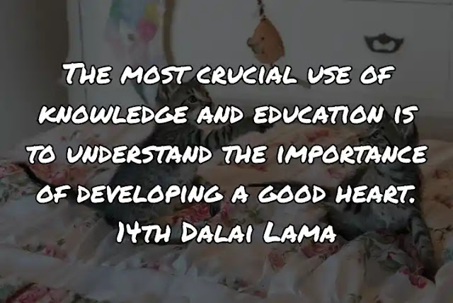 The most crucial use of knowledge and education is to understand the importance of developing a good heart. 14th Dalai Lama