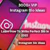  3000+ VIP Instagram Bio Ideas - Learn How To Write Perfect Bio in 2022 | Instagram bio ideas