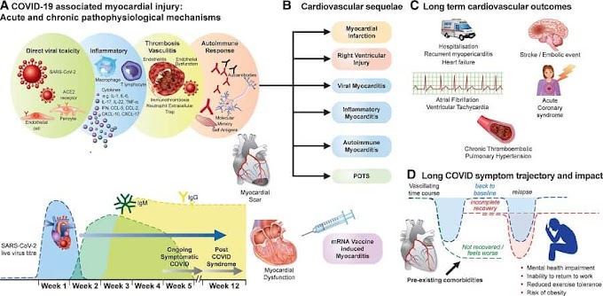Revisão destaca impacto do longo COVID no sistema cardiovascular - Universidade de Oxford