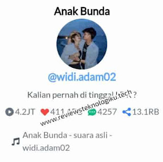 ttsave app - download audio tiktok di android