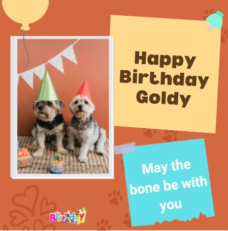  birthday wishes for Dog