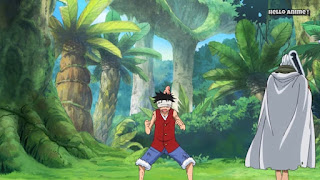 ワンピースアニメ WCI編 869話 ルフィ レイリー 修行 ルスカイナ 見聞色の覇気 Luffy Rayleigh observation haki| ONE PIECE ホールケーキアイランド編