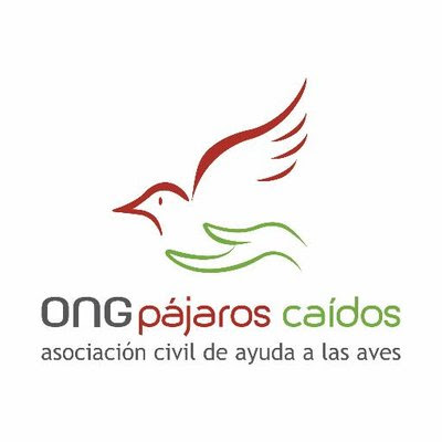 Fundación Pájaros Caídos