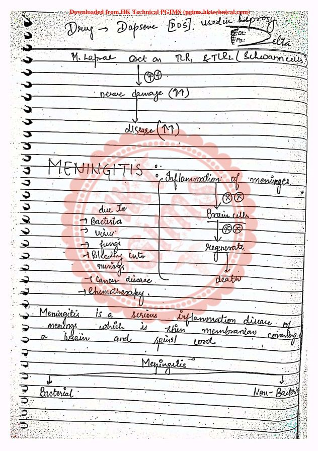 Meningitis Notes B Pharmacy 2nd Semester