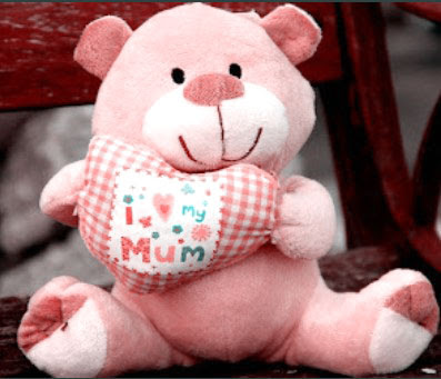 teddy bear pink colour