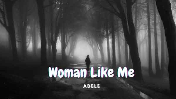 woman like me lyrics by adele