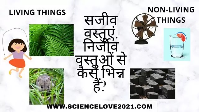 सजीव वस्तुएं, निर्जीव वस्तुओं से कैसे भिन्न हैं? (living and non-living things)|hindi