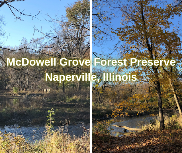 Admiring the West Branch DuPage River During a Hike at McDowell Grove in Naperville, Illinois