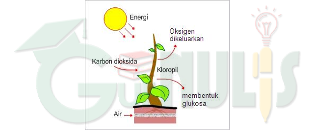 Perubahan Energi - www.gurnulis.id