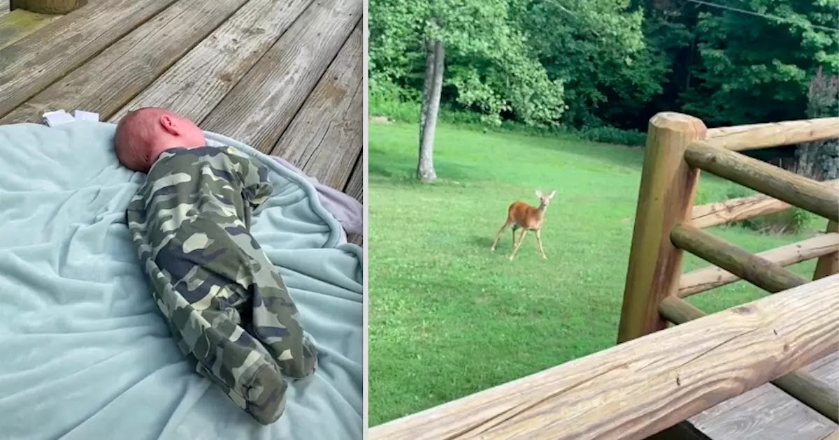 Deer Comes Running To Help After Hearing Newborn Baby Crying