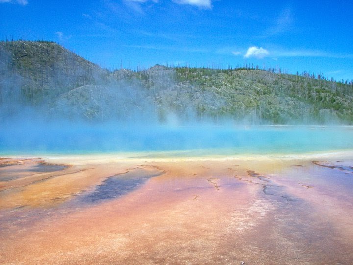 Free Expertise for Academics: Yellowstone Distance Studying Alternatives
