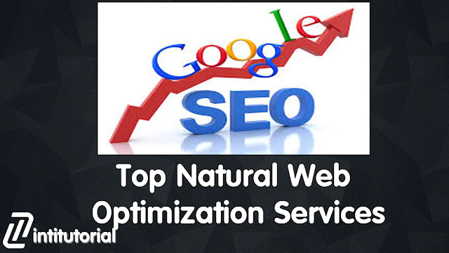 Top Natural Web Optimization Services