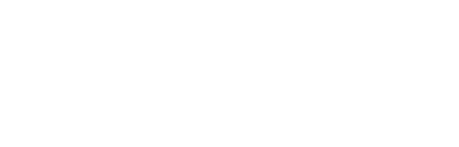 AdRevPro