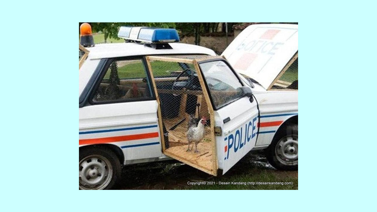 Desain Kandang Ayam Unik dari Mobil Polisi Bekas