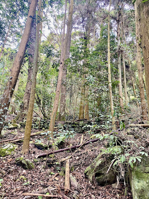 往洗水山北峰--石頭駁坎