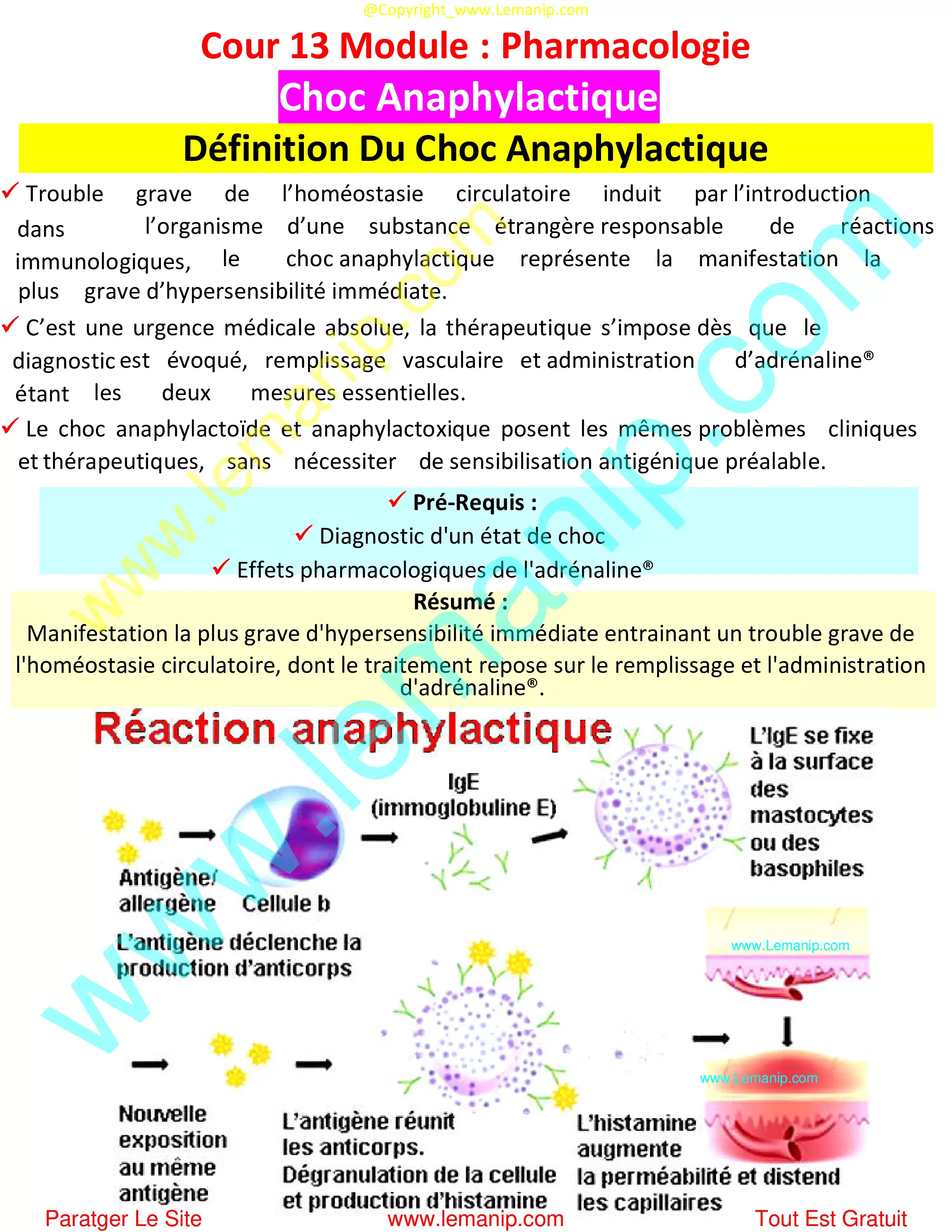 Définition Du Choc Anaphylactique