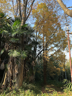 星田公園（新宮山八幡宮址）