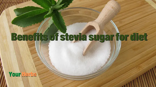 We all women and men, girls and young men, strive to reach the ideal weight and get rid of excess fat, and the problem of sugar remains an obstacle to achieving this goal, so we will tell you here about the benefits of stevia sugar for the diet.