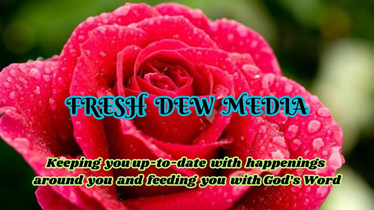 Fresh Dew Media