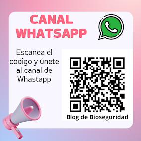 Canal de Whatsapp