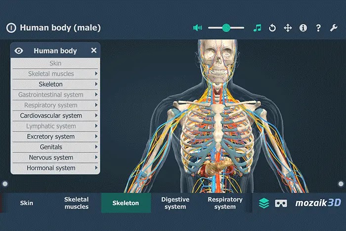 Aplikasi anatomi tubuh manusia berbasis android terbaik