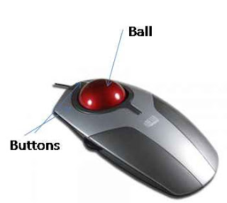 what is track ball
