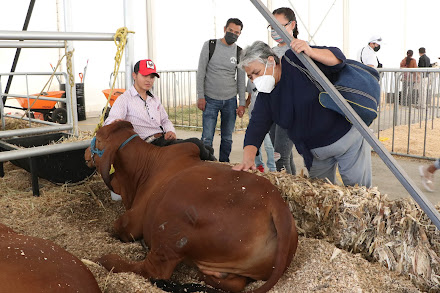 Con apoyo de SDR, productores consuman venta de animales en Expo Ganadera