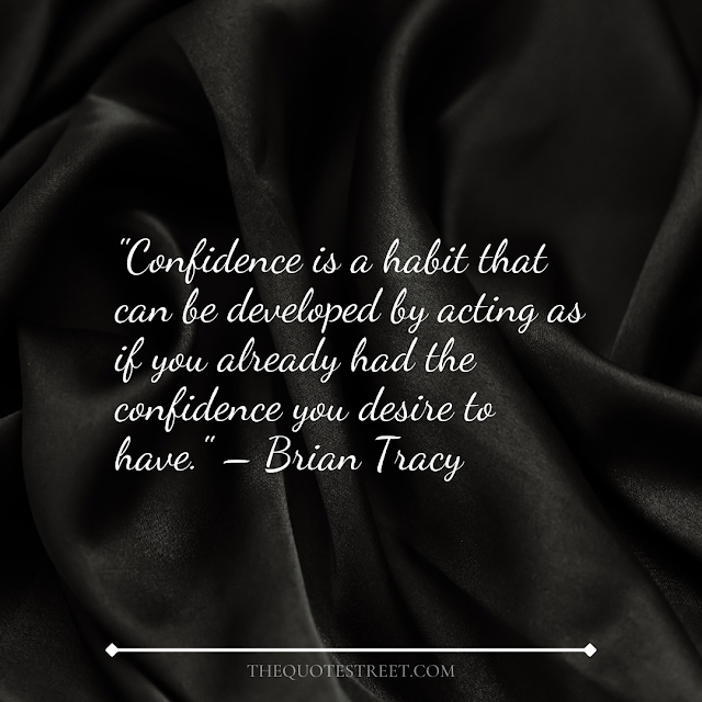 "Confidence is a habit that can be developed by acting as if you already had the confidence you desire to have." – Brian Tracy
